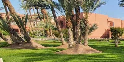 Jardinage Marrakch - Création et Conception de jardins